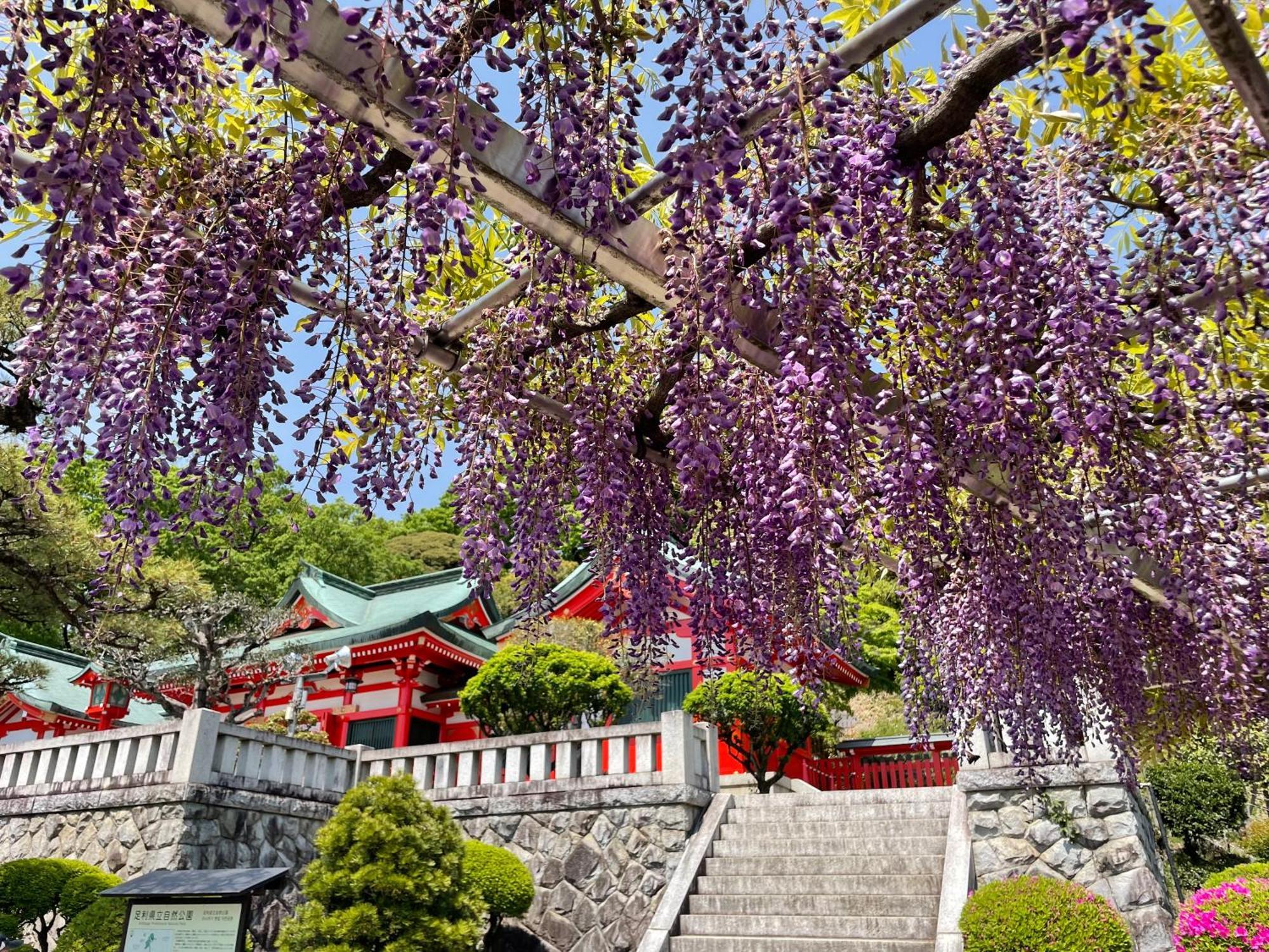 Hotel Wakasa Ashikaga Exterior photo