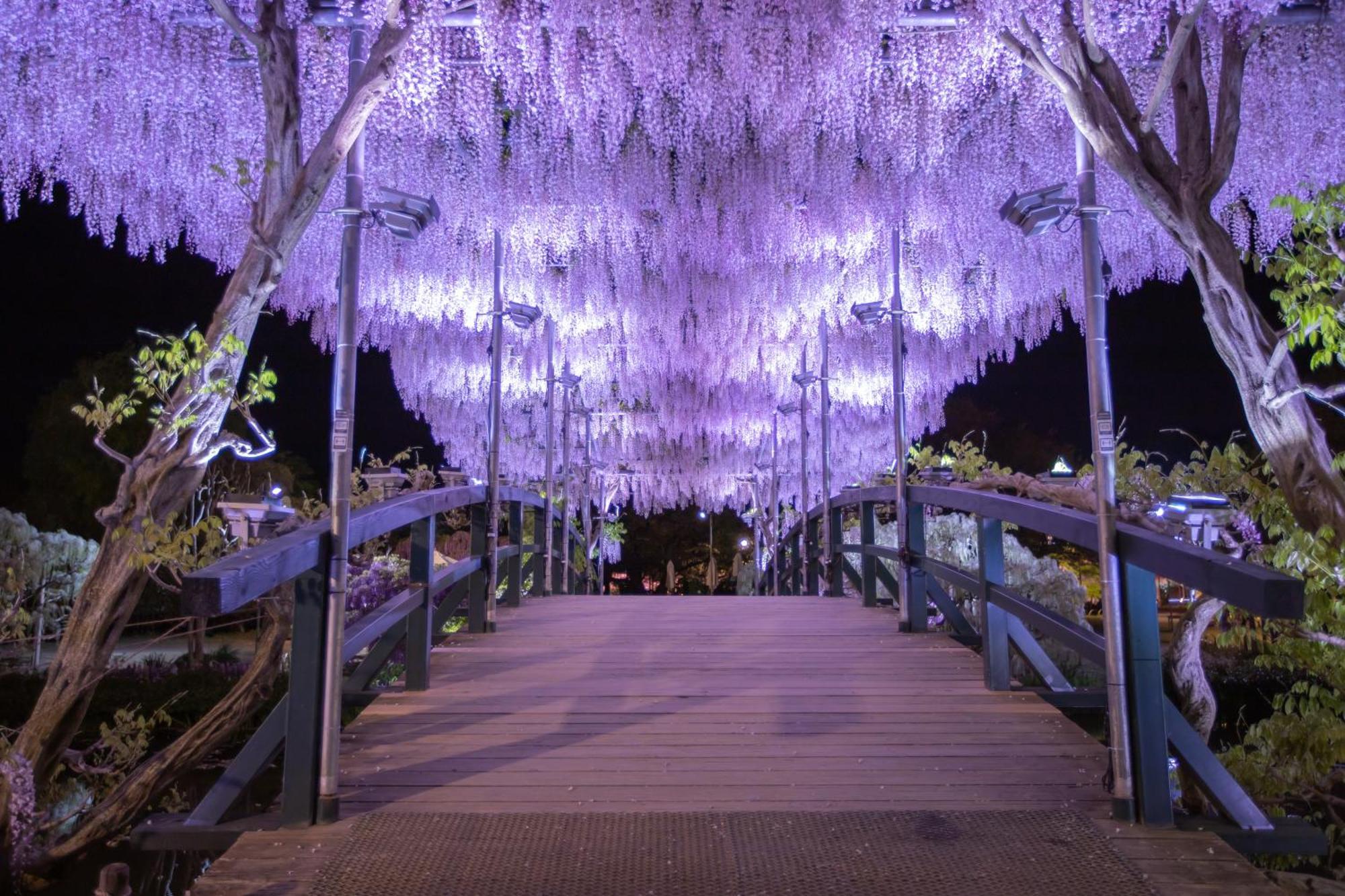 Hotel Wakasa Ashikaga Exterior photo