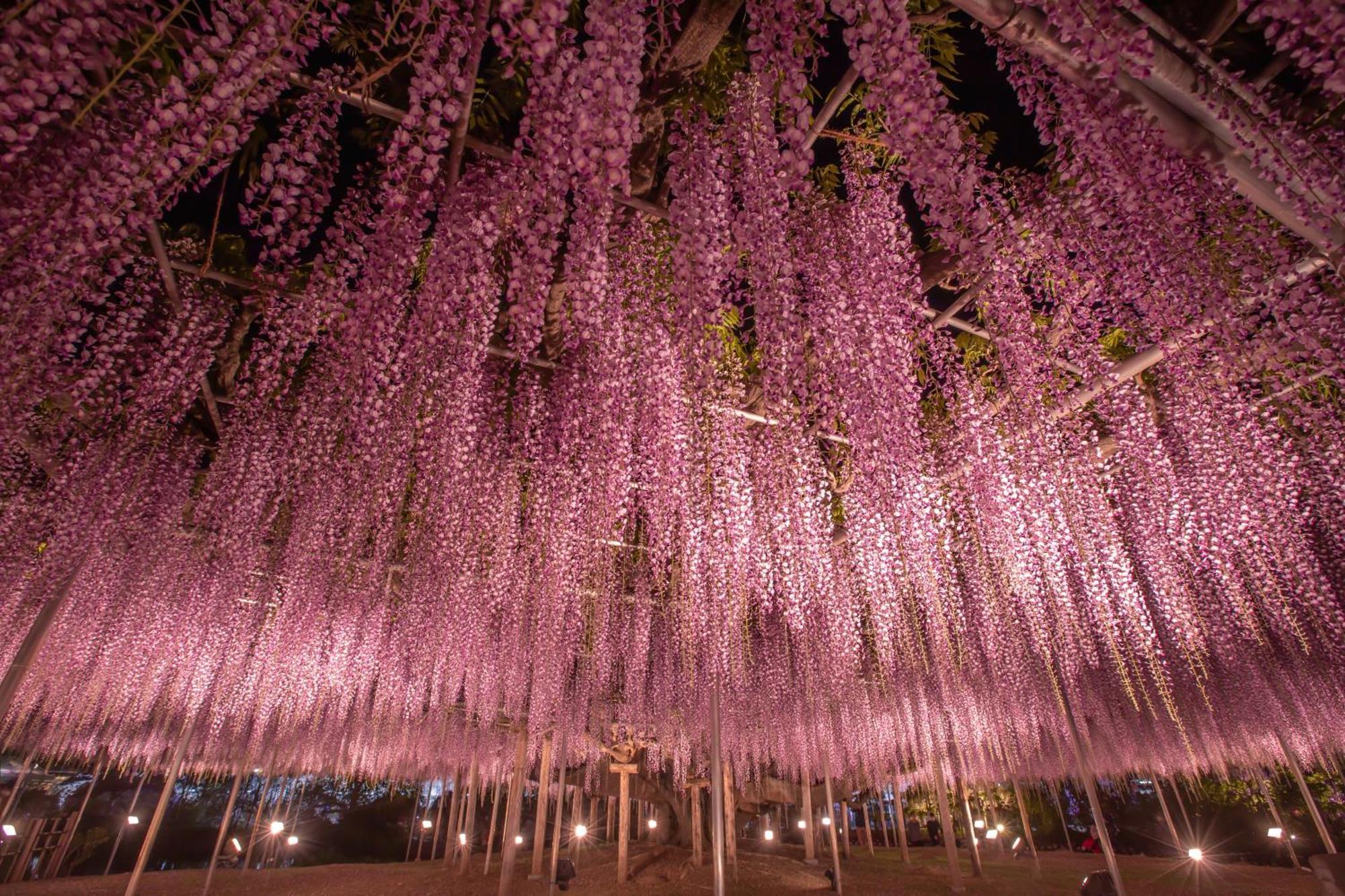 Hotel Wakasa Ashikaga Exterior photo