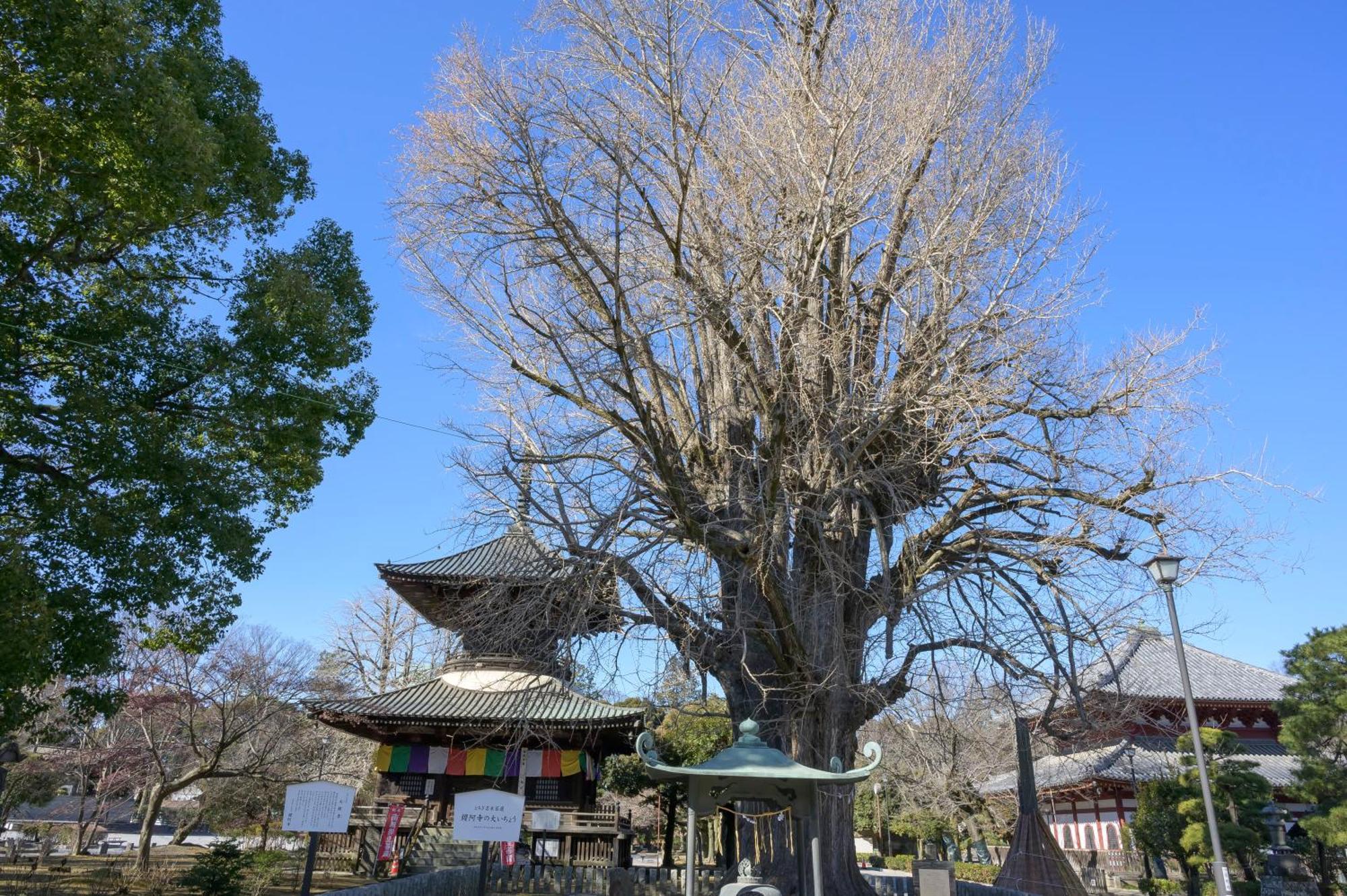 Hotel Wakasa Ashikaga Exterior photo